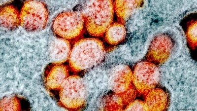 Нова мутация на коронавирус. Какви опасности крие тя?